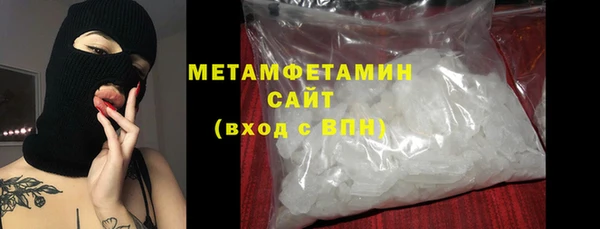 индика Медвежьегорск