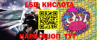 дурь Берёзовский