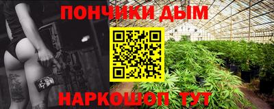 прущие крисы Бийск