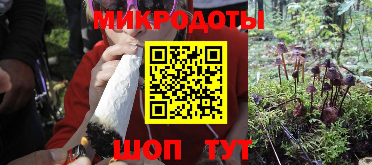 Галлюциногенные грибы Psilocybe Воронеж