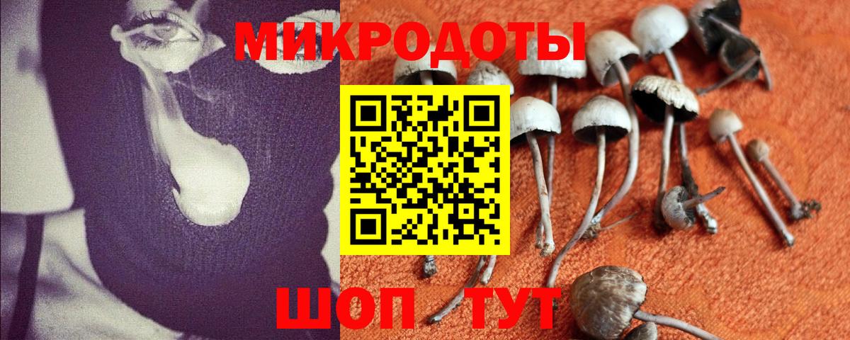 Псилоцибиновые грибы прущие грибы  купить   Воронеж  Галлюциногенные грибы ЛСД  Вход с VPN 